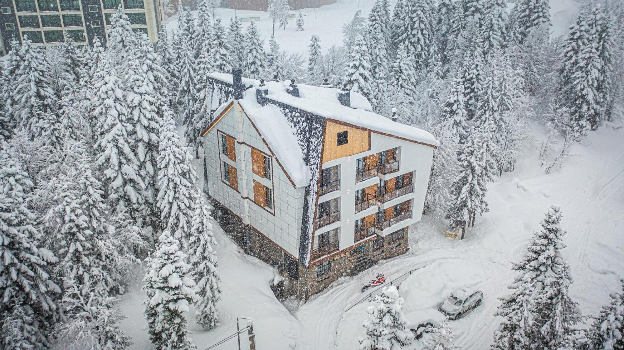 Forest Villa Goderdzi エクステリア 写真