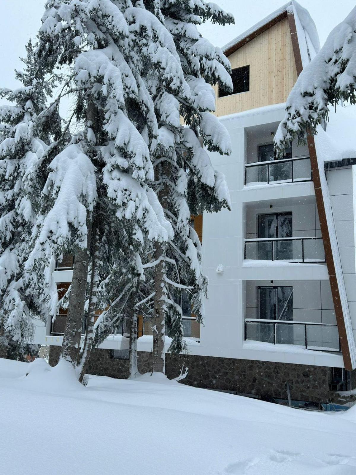 Forest Villa Goderdzi エクステリア 写真