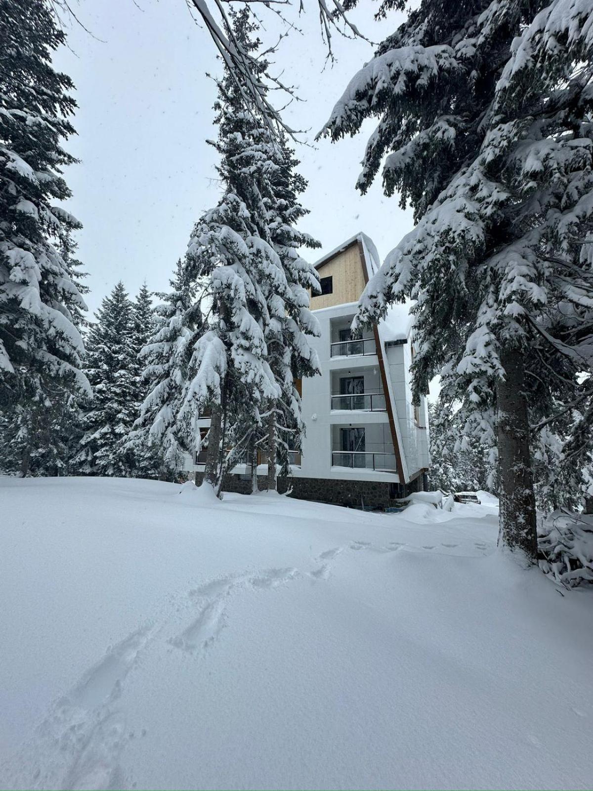 Forest Villa Goderdzi エクステリア 写真