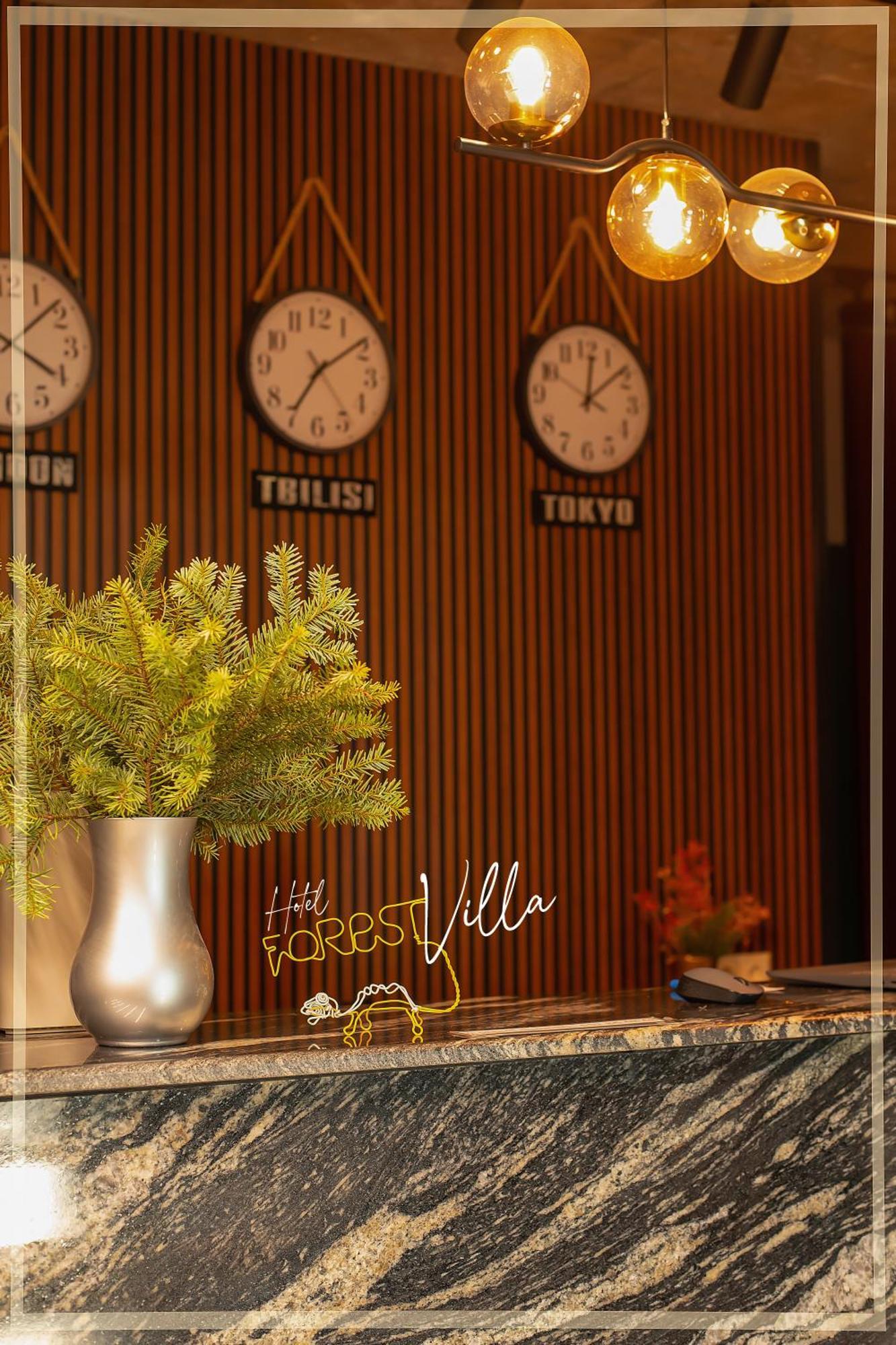 Forest Villa Goderdzi エクステリア 写真